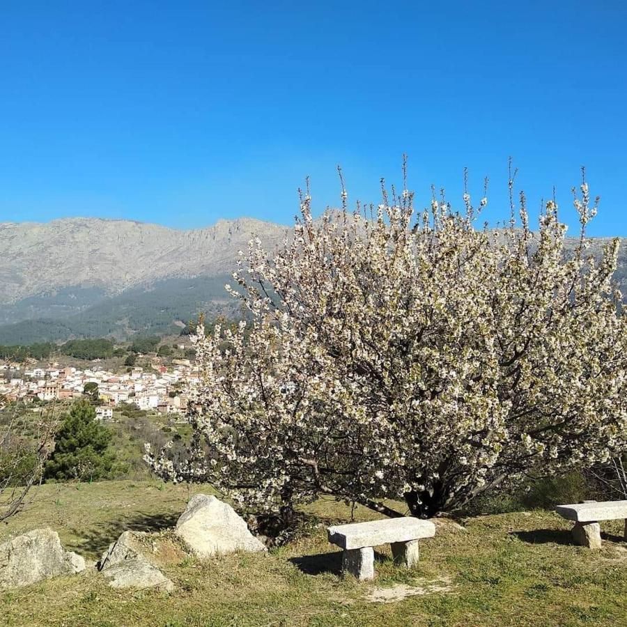 אל ארנל Hotel Rural Los Molinillos מראה חיצוני תמונה